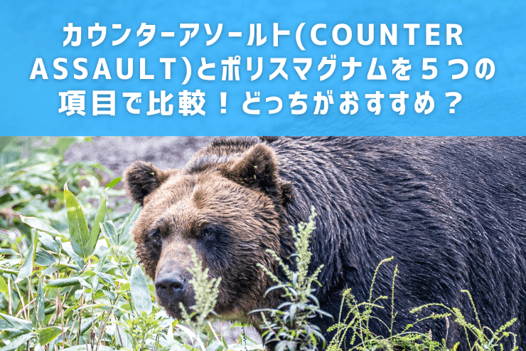 カウンターアソールト(COUNTER ASSAULT)とポリスマグナムを５つの項目で比較！どっちがおすすめ？